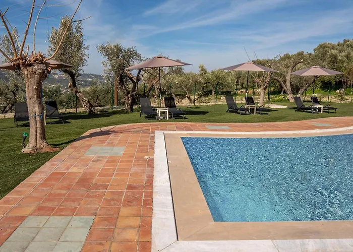 Olive Grove Maisonettes And Apts