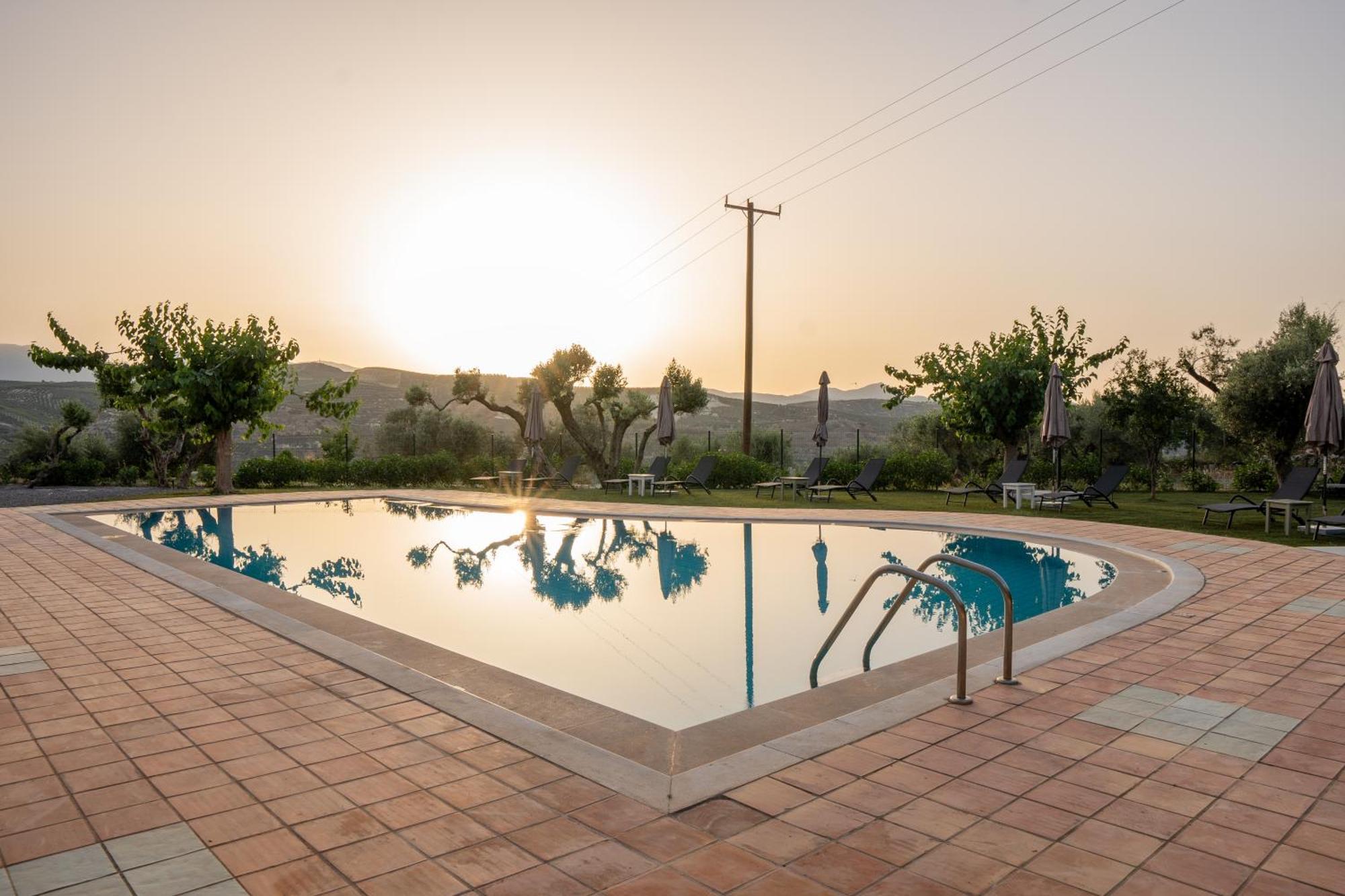 Olive Grove Maisonettes And Apts Apartment